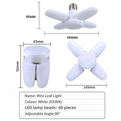 RGB LED Strip Lights – Smart Color Changing