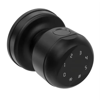 Smart Knob Door Lock — Fingerprint, Keypad & Tuya App Control | Keyless Entry